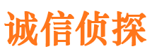 颍泉市侦探调查公司